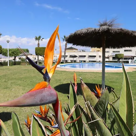 025 - Altomar Ii 002 - Comfortholidays * Gran Alacant